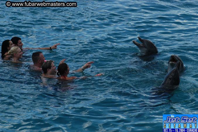 Sunday's Dolphin Swim Adventure and Animal Encounter 2004