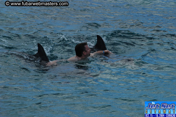 Sunday's Dolphin Swim Adventure and Animal Encounter 2004