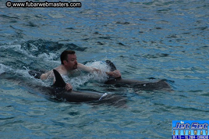 Sunday's Dolphin Swim Adventure and Animal Encounter 2004
