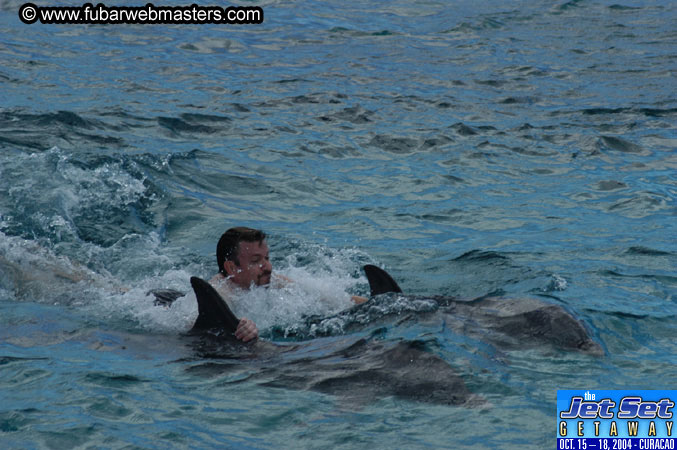 Sunday's Dolphin Swim Adventure and Animal Encounter 2004