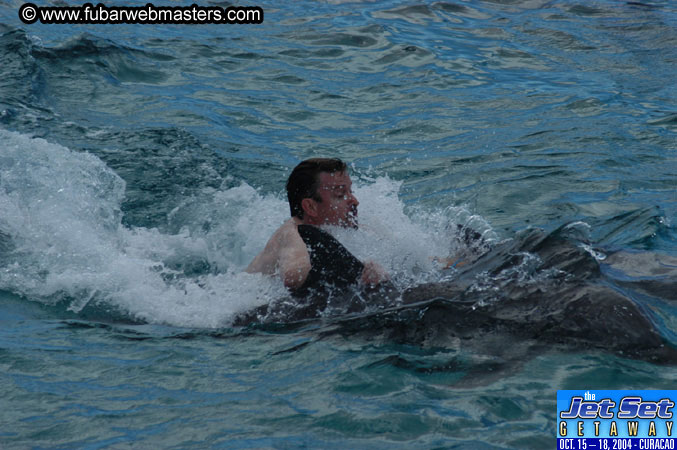 Sunday's Dolphin Swim Adventure and Animal Encounter 2004