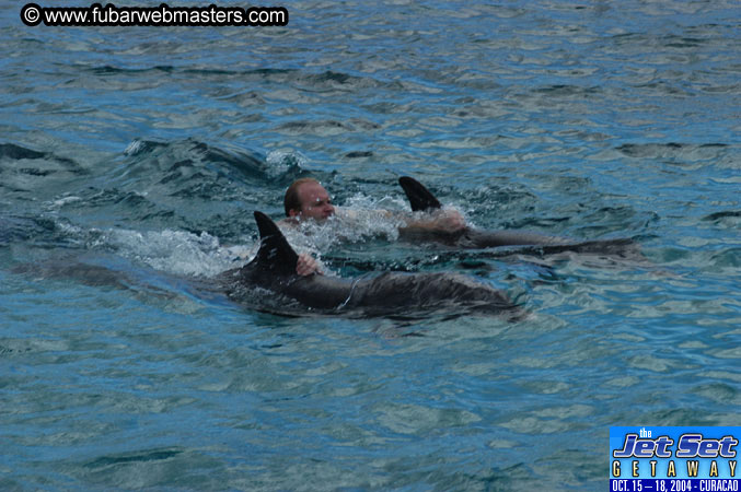 Sunday's Dolphin Swim Adventure and Animal Encounter 2004