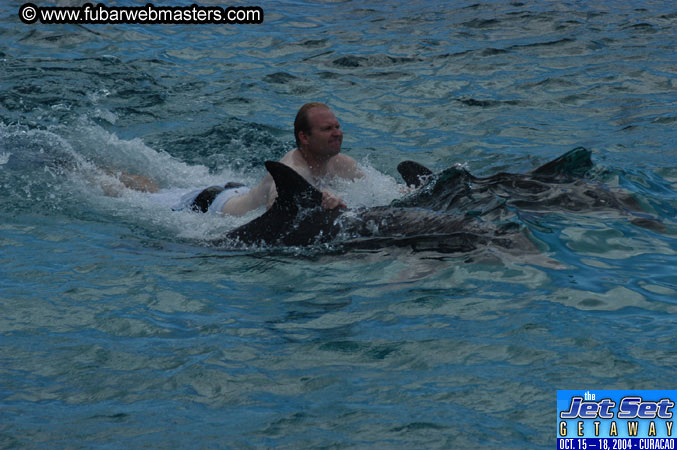Sunday's Dolphin Swim Adventure and Animal Encounter 2004