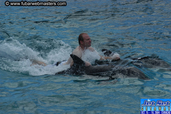 Sunday's Dolphin Swim Adventure and Animal Encounter 2004