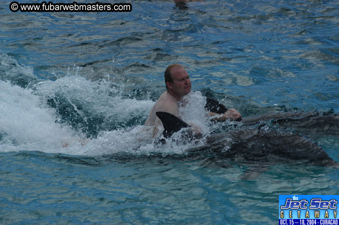 Sunday's Dolphin Swim Adventure and Animal Encounter 2004