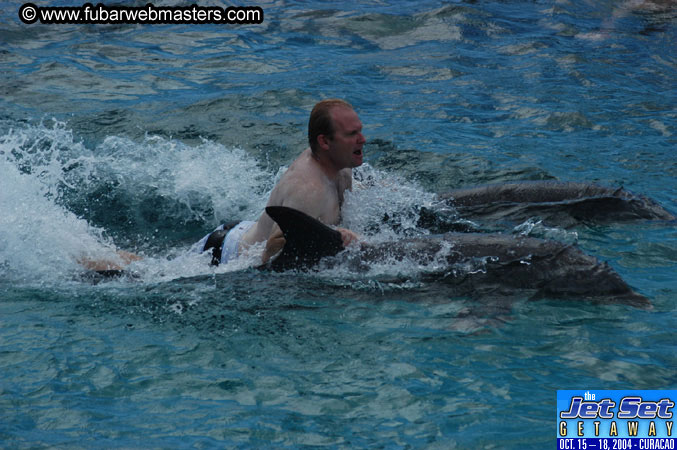 Sunday's Dolphin Swim Adventure and Animal Encounter 2004
