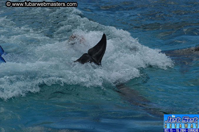 Sunday's Dolphin Swim Adventure and Animal Encounter 2004