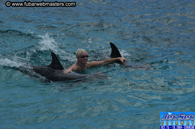 Sunday's Dolphin Swim Adventure and Animal Encounter 2004