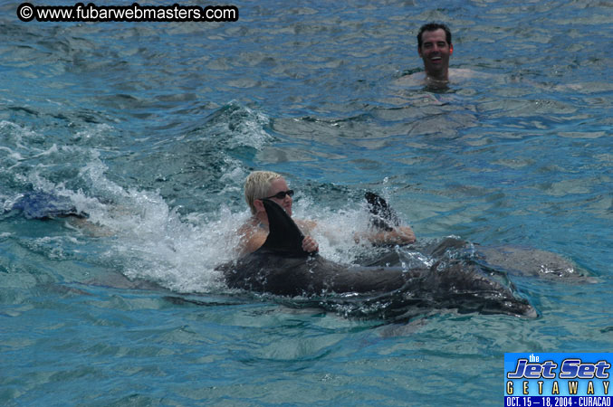 Sunday's Dolphin Swim Adventure and Animal Encounter 2004
