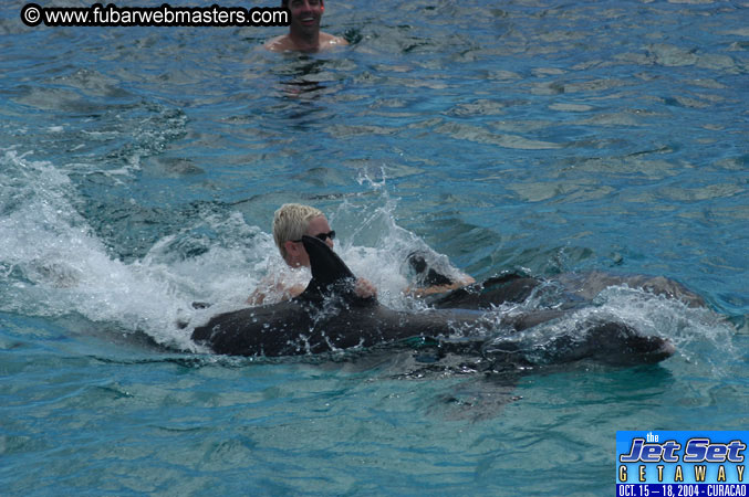 Sunday's Dolphin Swim Adventure and Animal Encounter 2004