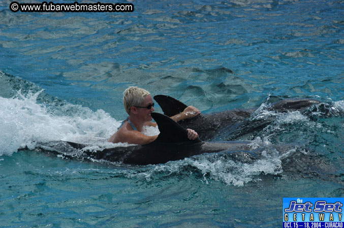 Sunday's Dolphin Swim Adventure and Animal Encounter 2004
