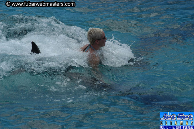 Sunday's Dolphin Swim Adventure and Animal Encounter 2004