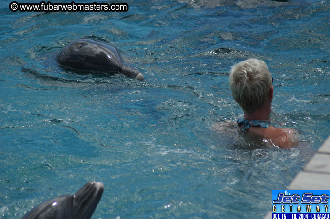 Sunday's Dolphin Swim Adventure and Animal Encounter 2004