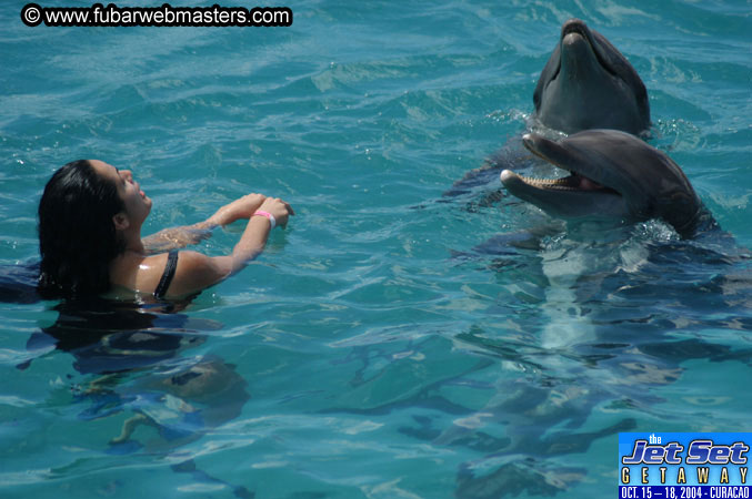 Sunday's Dolphin Swim Adventure and Animal Encounter 2004
