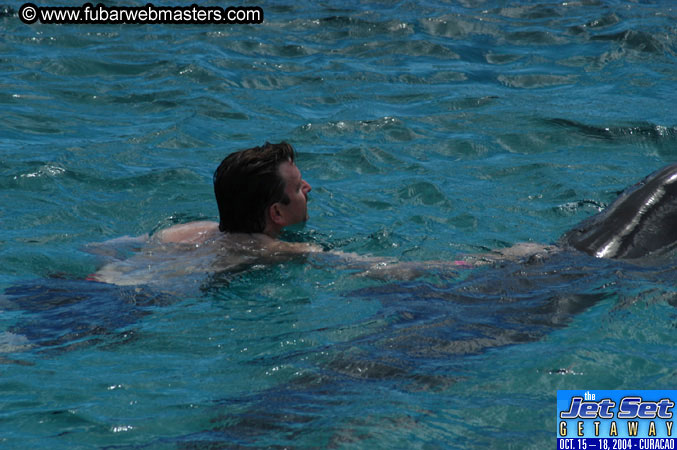 Sunday's Dolphin Swim Adventure and Animal Encounter 2004