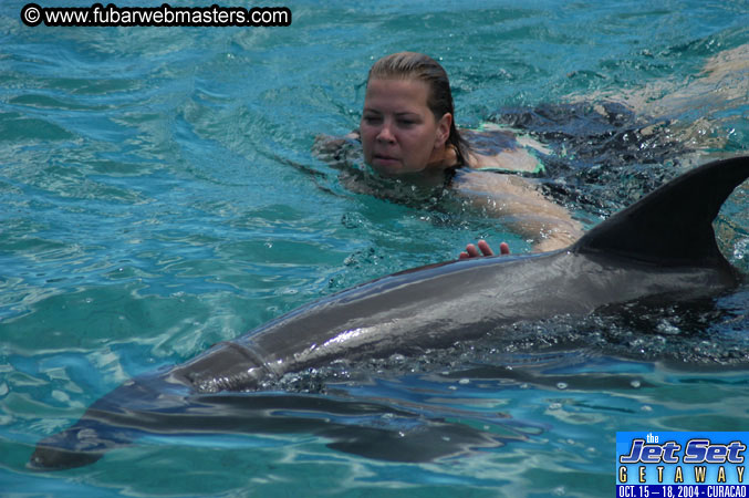 Sunday's Dolphin Swim Adventure and Animal Encounter 2004