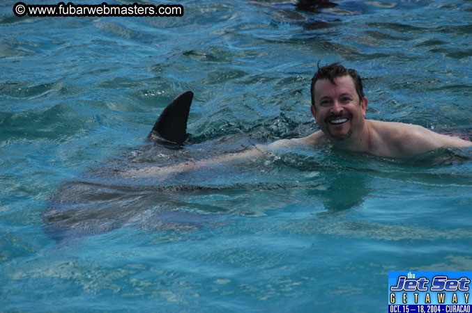 Sunday's Dolphin Swim Adventure and Animal Encounter 2004