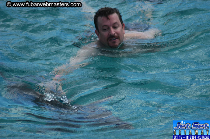 Sunday's Dolphin Swim Adventure and Animal Encounter 2004