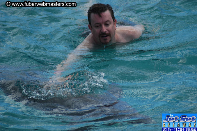 Sunday's Dolphin Swim Adventure and Animal Encounter 2004