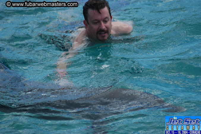 Sunday's Dolphin Swim Adventure and Animal Encounter 2004