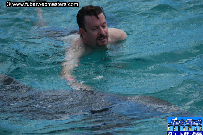 Sunday's Dolphin Swim Adventure and Animal Encounter 2004