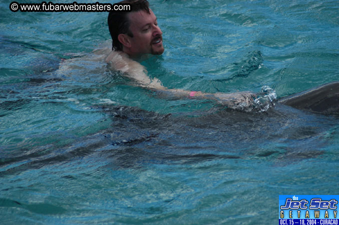 Sunday's Dolphin Swim Adventure and Animal Encounter 2004