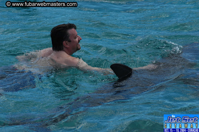 Sunday's Dolphin Swim Adventure and Animal Encounter 2004