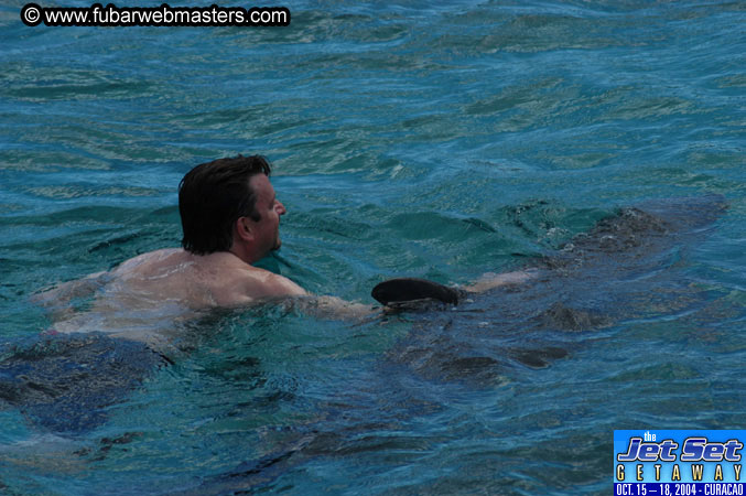 Sunday's Dolphin Swim Adventure and Animal Encounter 2004