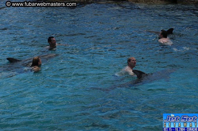 Sunday's Dolphin Swim Adventure and Animal Encounter 2004