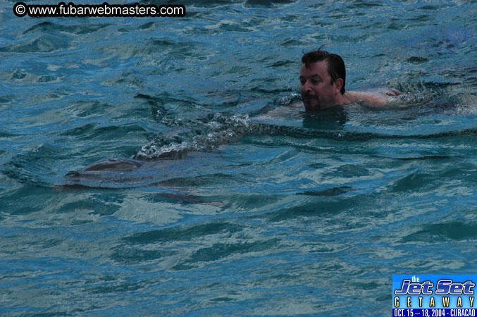 Sunday's Dolphin Swim Adventure and Animal Encounter 2004