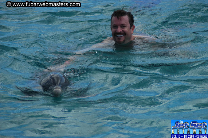 Sunday's Dolphin Swim Adventure and Animal Encounter 2004