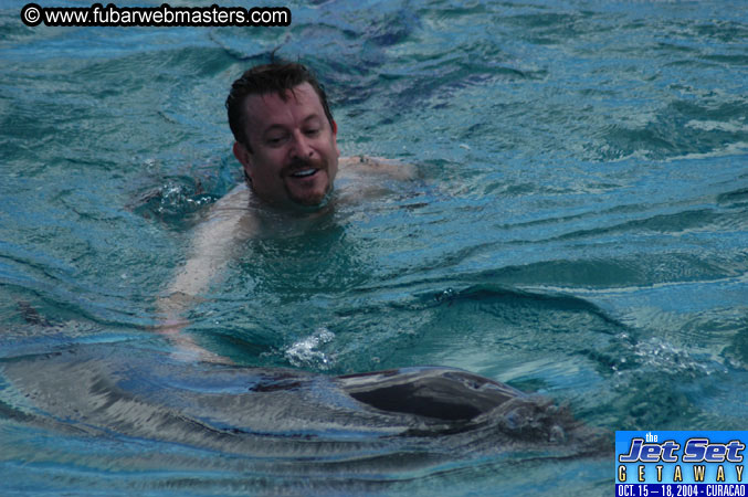Sunday's Dolphin Swim Adventure and Animal Encounter 2004