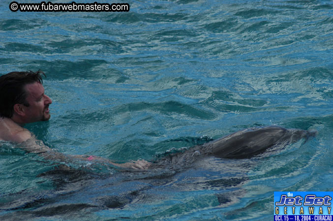Sunday's Dolphin Swim Adventure and Animal Encounter 2004