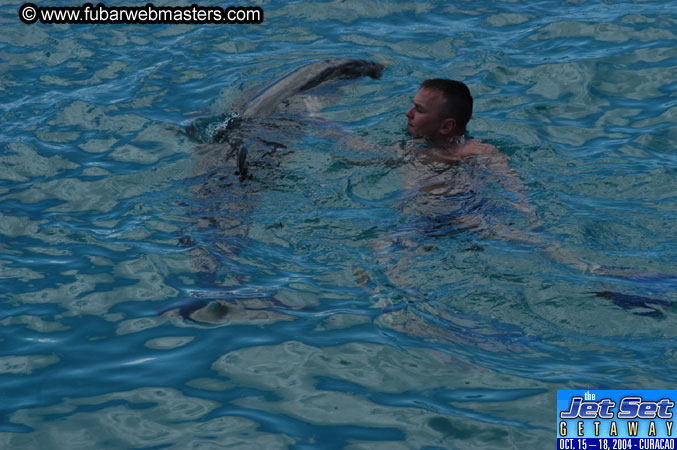 Sunday's Dolphin Swim Adventure and Animal Encounter 2004