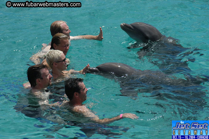 Sunday's Dolphin Swim Adventure and Animal Encounter 2004