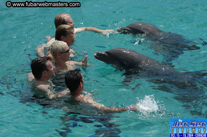 Sunday's Dolphin Swim Adventure and Animal Encounter 2004