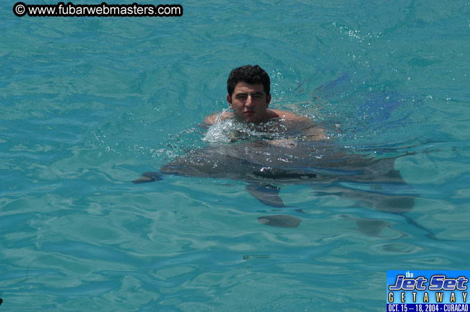 Sunday's Dolphin Swim Adventure and Animal Encounter 2004