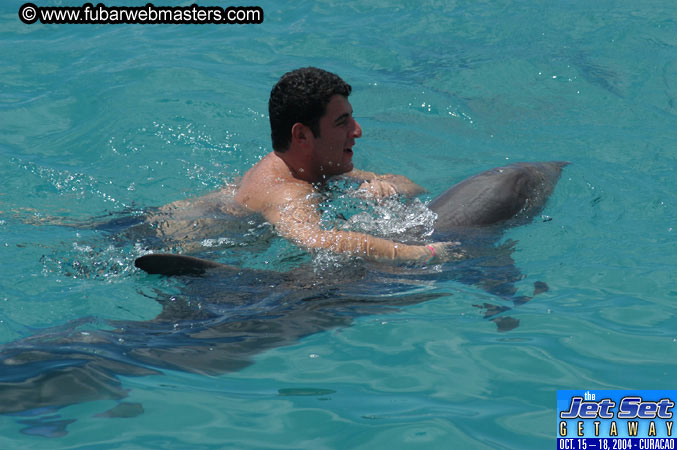 Sunday's Dolphin Swim Adventure and Animal Encounter 2004