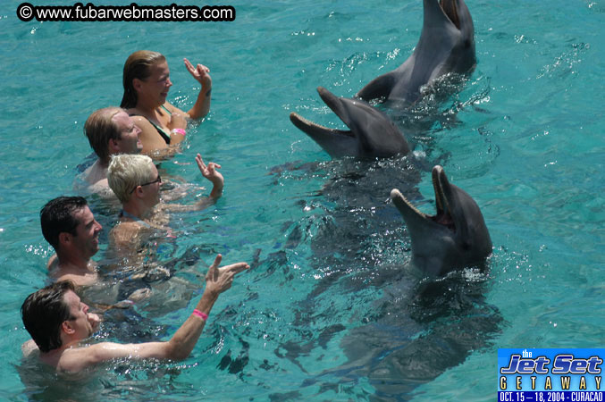 Sunday's Dolphin Swim Adventure and Animal Encounter 2004