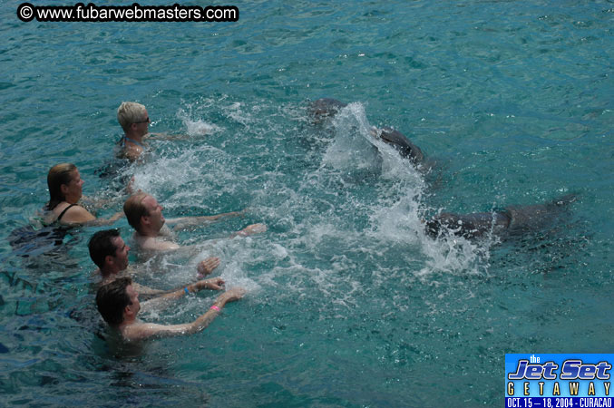 Sunday's Dolphin Swim Adventure and Animal Encounter 2004