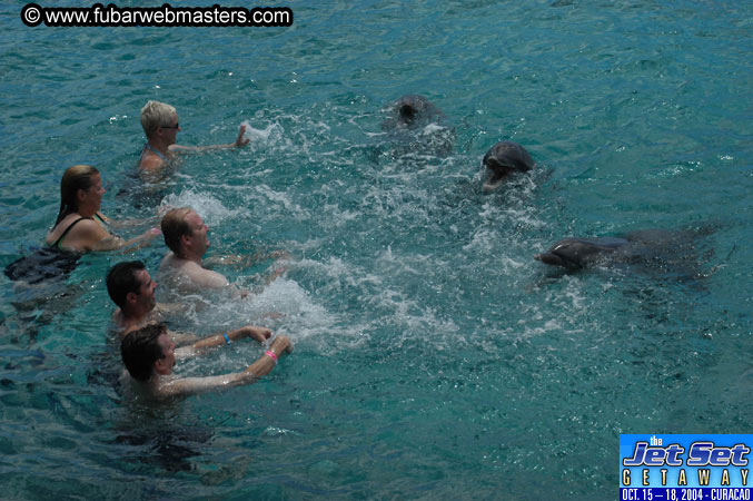 Sunday's Dolphin Swim Adventure and Animal Encounter 2004