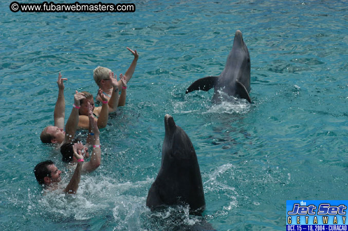 Sunday's Dolphin Swim Adventure and Animal Encounter 2004