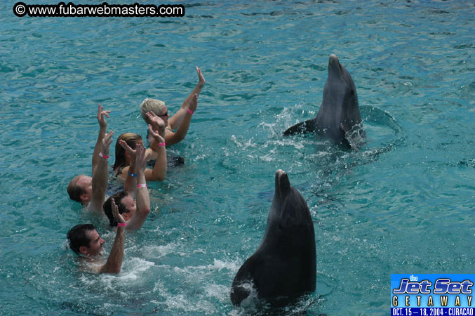 Sunday's Dolphin Swim Adventure and Animal Encounter 2004