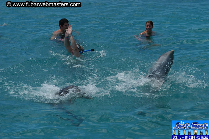 Sunday's Dolphin Swim Adventure and Animal Encounter 2004