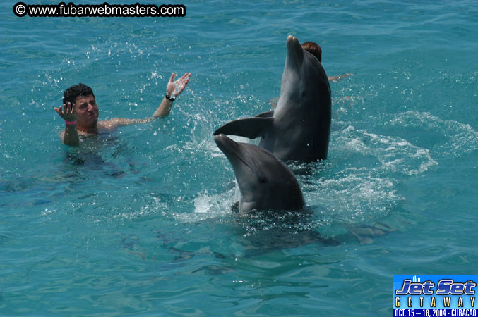 Sunday's Dolphin Swim Adventure and Animal Encounter 2004