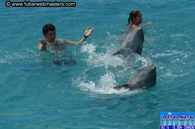 Sunday's Dolphin Swim Adventure and Animal Encounter 2004