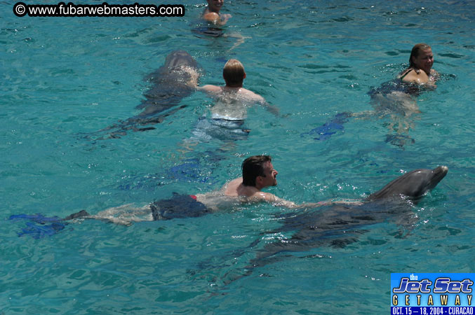 Sunday's Dolphin Swim Adventure and Animal Encounter 2004