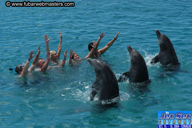 Sunday's Dolphin Swim Adventure and Animal Encounter 2004