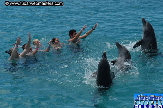 Sunday's Dolphin Swim Adventure and Animal Encounter 2004