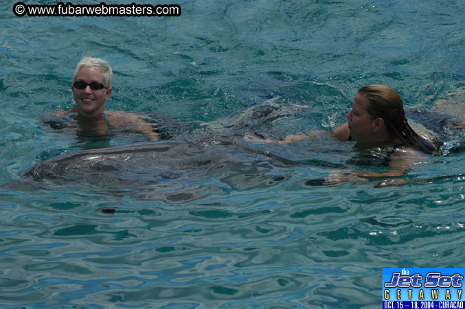 Sunday's Dolphin Swim Adventure and Animal Encounter 2004